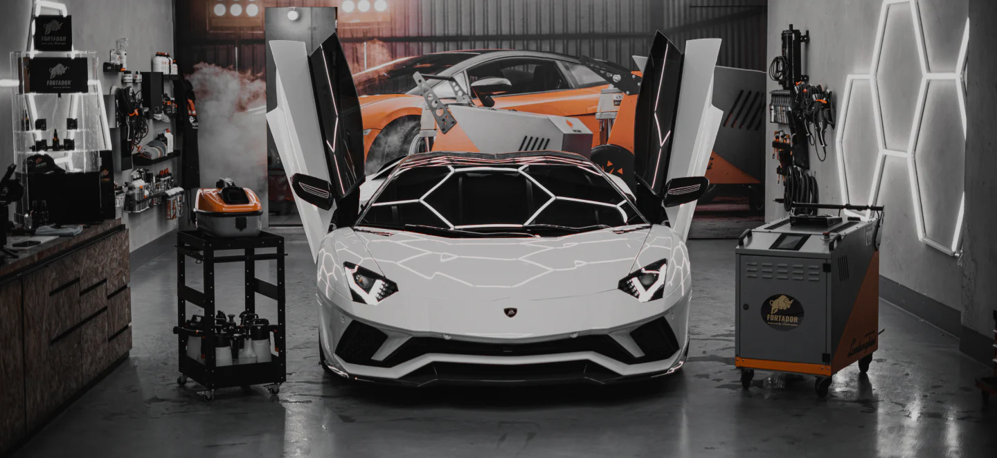 MOBILE CAR DETAILING LOS ANGELES
